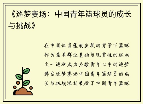 《逐梦赛场：中国青年篮球员的成长与挑战》
